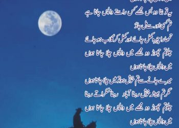 جان جاں بس مجھے واپس جانا ہے