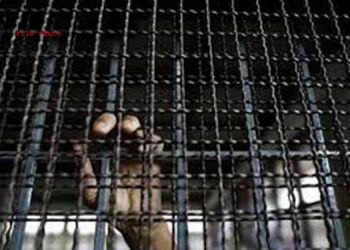 4 فلسطینیوں کی اسرائیلی جیل میں بھوک ہڑتال جاری