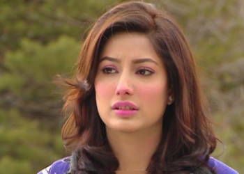 نئے آنے والوں کاراستہ روکنے کی بجائے انہیں آگے بڑھنے میں مدد دینی چاہیے :مہوش حیات