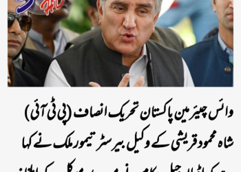 پاکستان تحریک انصاف (پی ٹی آئی) کے وائس چیئرمین شاہ محمود قریشی کا احتجاج نہ کرنے کا بیان دینے سے گریز سامنے آیا ہے