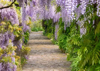 خوشی کی رت ہو کہ غم کا موسم نظر اسے ڈھونڈتی ہے ہر دم ۔۔۔