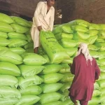 نگران حکومت کا کھاد کی مصنوعی قلت کا نوٹس، درآمدی کھاد کے آرڈرز بھی کردیے