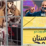 نواز شریف کا ریلی میں شیر لانےکا نوٹس، فوری واپس بھجوانےکی ہدایت