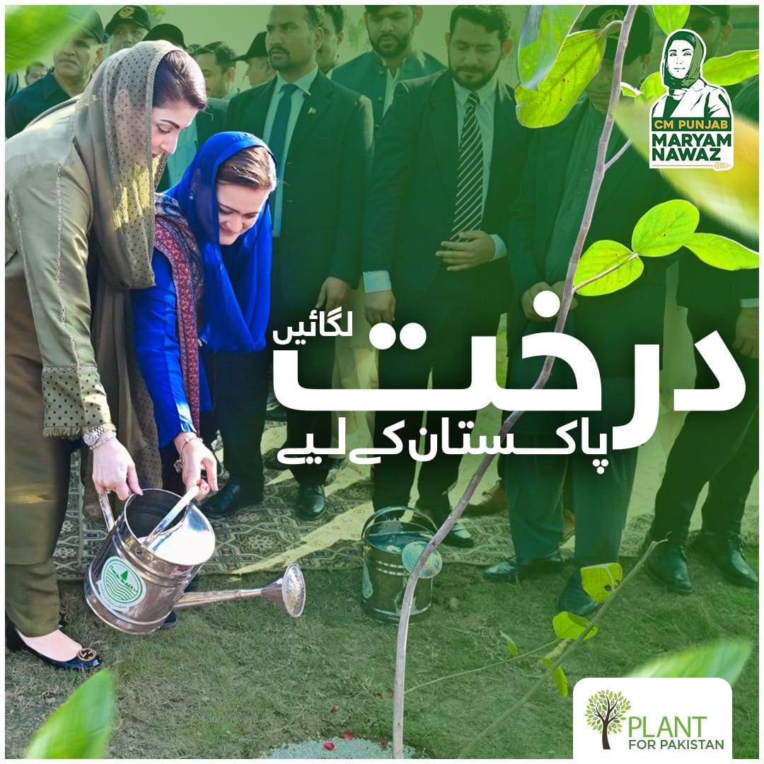 مریم نواز نے صوبے میں ‘پلانٹ&hellip;
