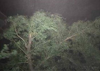 سرگودھا میں آندھی سے مکانوں کی دیواریں گر گئیں