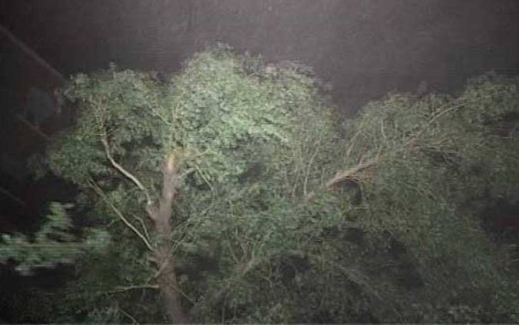 سرگودھا میں آندھی سے مکانوں کی دیواریں گر گئیں