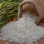 یورپی یونین نے چاول کی شپمنٹس کو روک دیں.