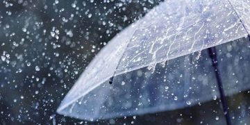 پی ڈی ایم اے پنجاب نے صوبے بھر میں بارشوں اور چند مقامات پر ژالہ باری کا الرٹ جاری کردیا